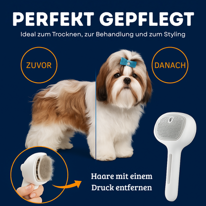 FellHeld Bürste + Lotion